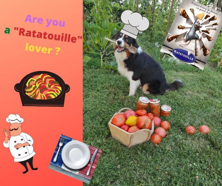 68 Ratatouille 29072021