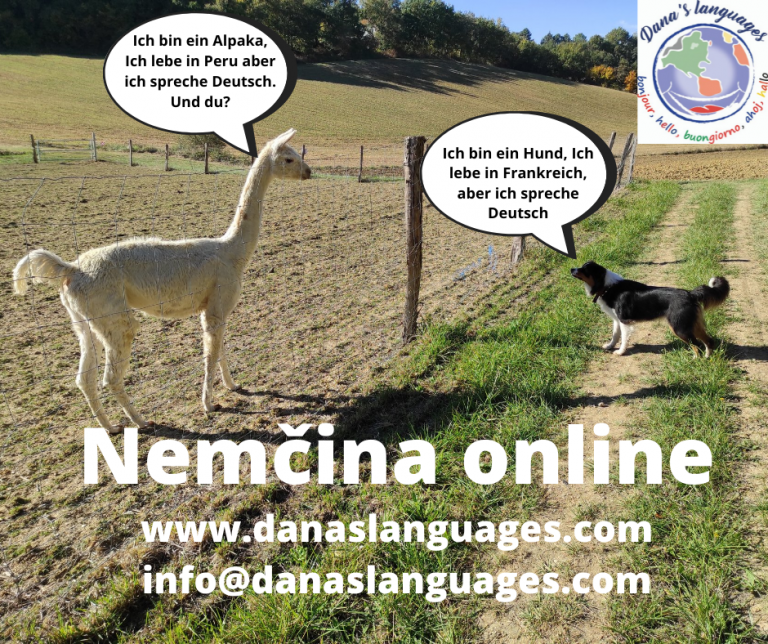 82 Nemčina online 241021