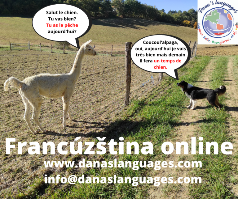 83 Francúzština online 241021